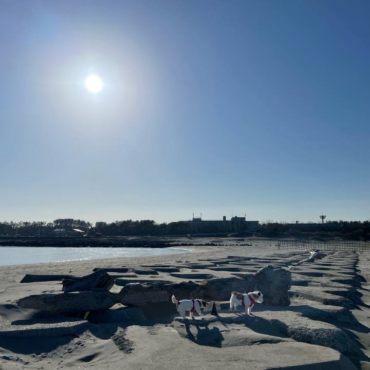 E335e15b 8bee 44bd b5f3 b5e8dbff47cf 1680132810170