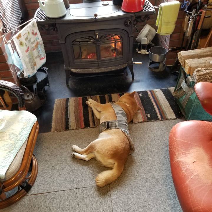 E336157a 2d62 4519 9fd0 03b7d2147630 1614814197842