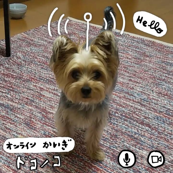 E33615ce d89f 4b13 bad8 1409ddf5f56d 1590732688195