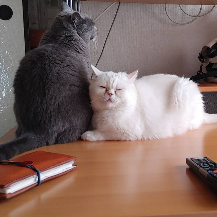 E3364cbc 90ab 48c6 b9a1 6c7d3ff9dbf9 1651375589101