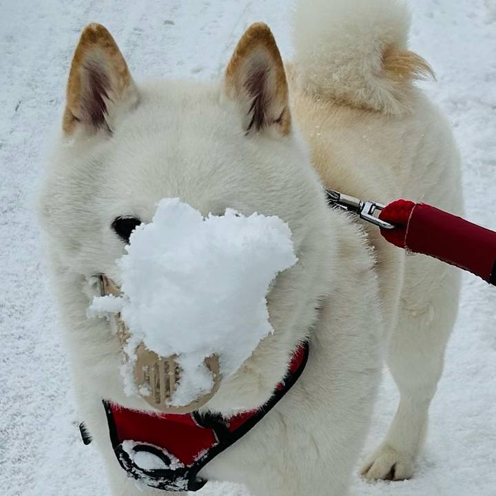 E33652f4 b2bf 4b79 9ad7 0eca5af34b27 1710542675665