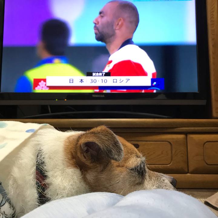 E336793e 8ec7 4b3a b644 ca16078125c0 1568984026479