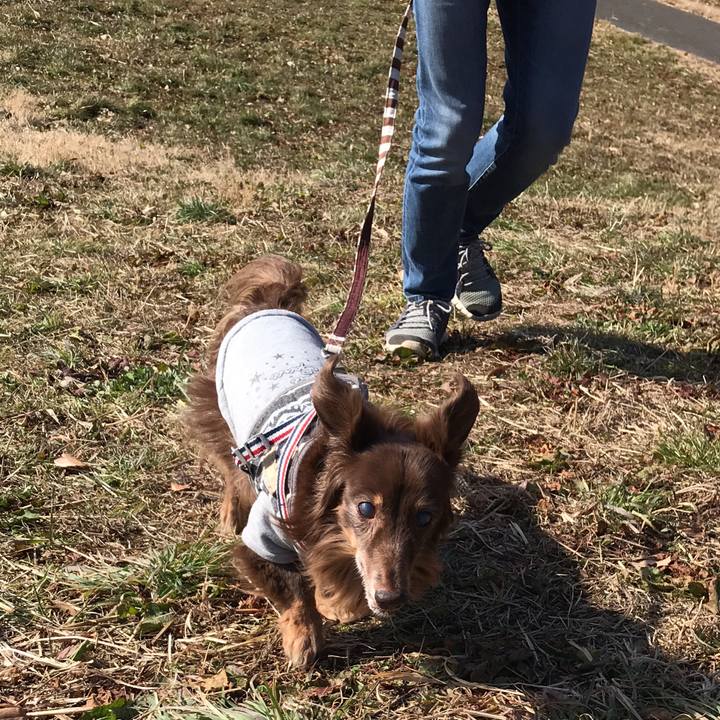 E33681e6 f504 408e 94f3 486116ed9167 1514607545182