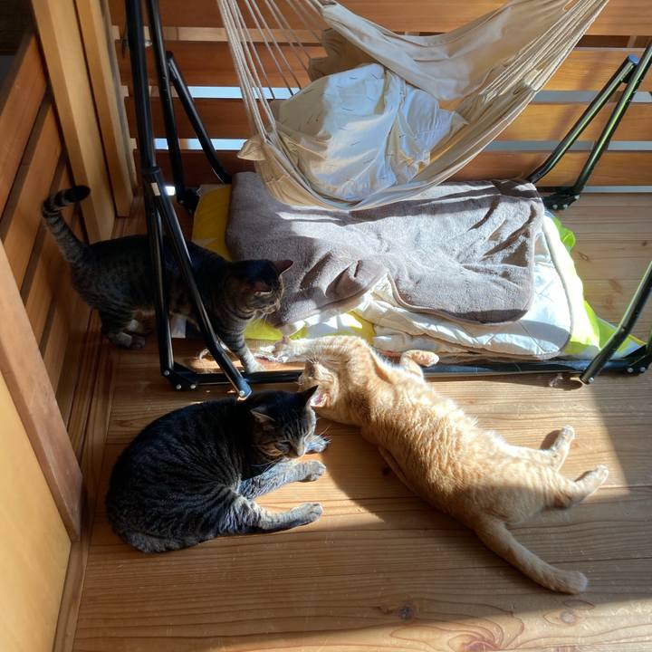 E3369a4c 1809 4e95 8db8 04189d4ab434 1714777606766