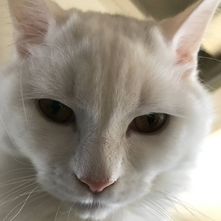 E336cb42 e8ba 4479 8c48 573005d47ec4 1515808726683