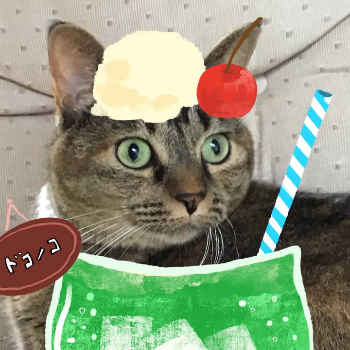 E336db1b e169 4adf a10b 917de0c5b1a3 1755076437136