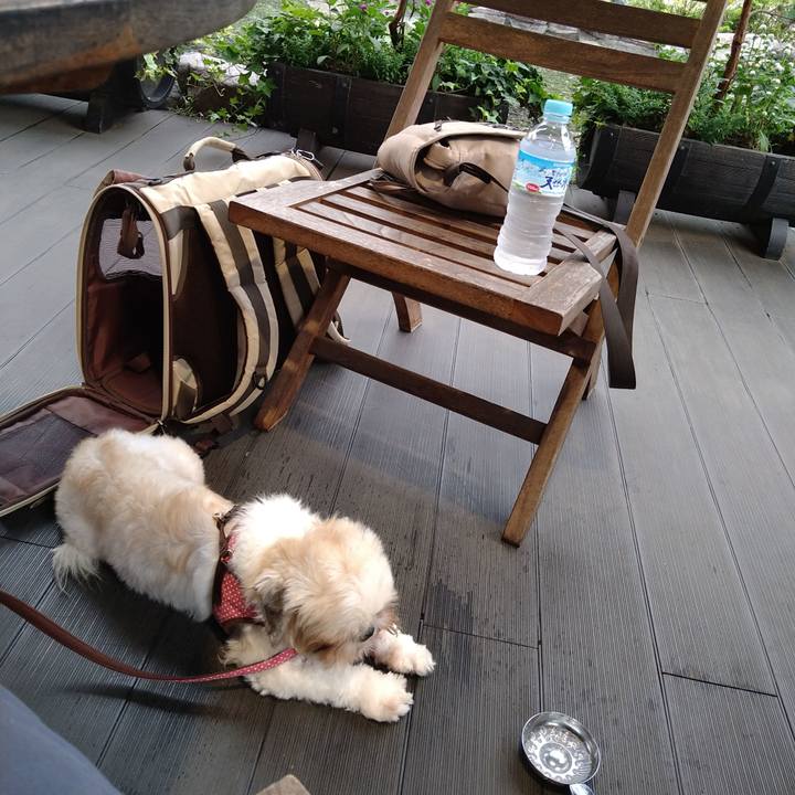 E337001b 97fe 4990 bfa5 015552ab7d72 1600158505070