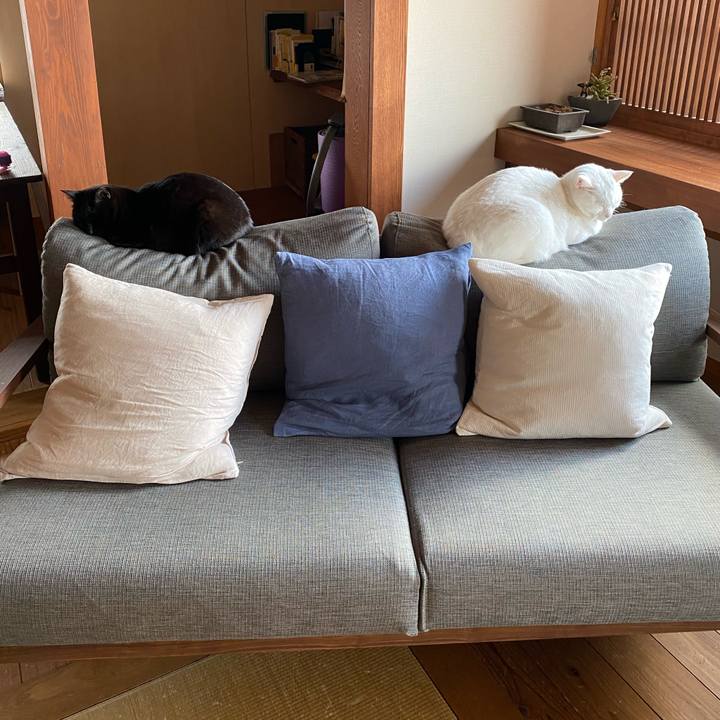 E3370f23 f0bb 4ad3 a2ab f80a7a38059b 1581903603932