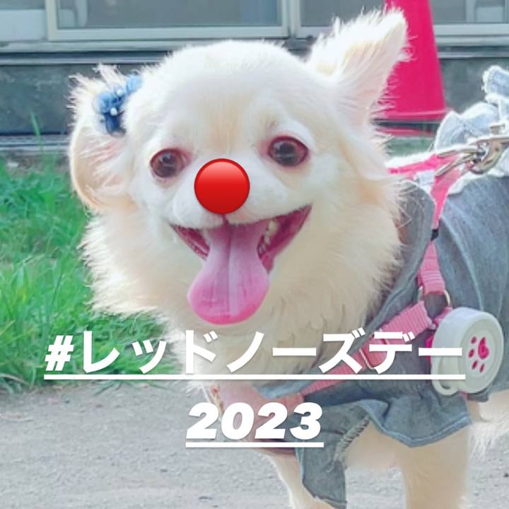 E33746d0 267d 40e0 998c 70c70fccf6a7 1691414066381