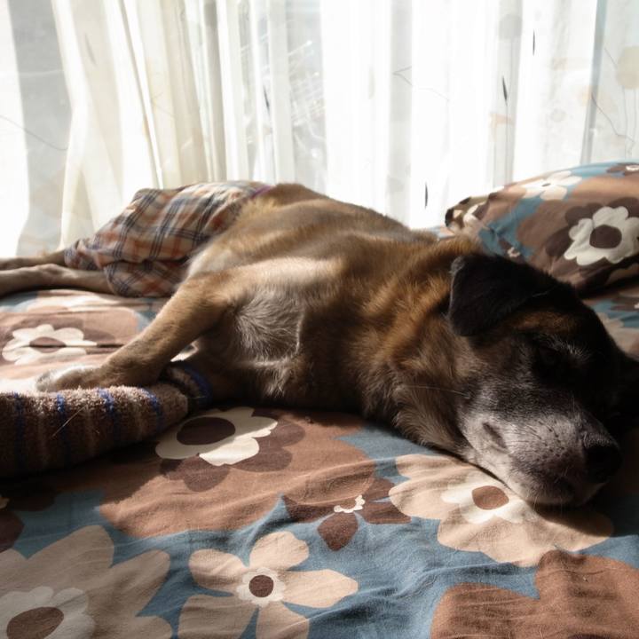 E3376d7d b35c 4ad0 92f7 0ba9df22c105 1582937089007