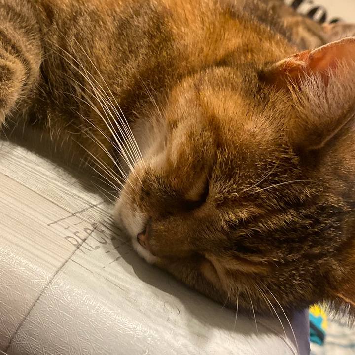 E3376e61 d730 478a 8f28 05d2c72c3b44 1626455600926