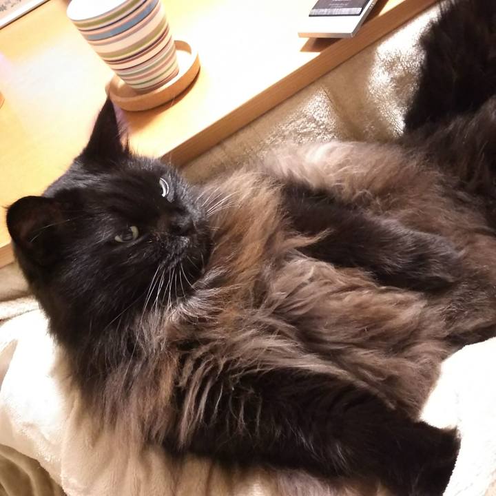 E3378276 5447 413e 9f7f 614b850fb67a 1573476030240