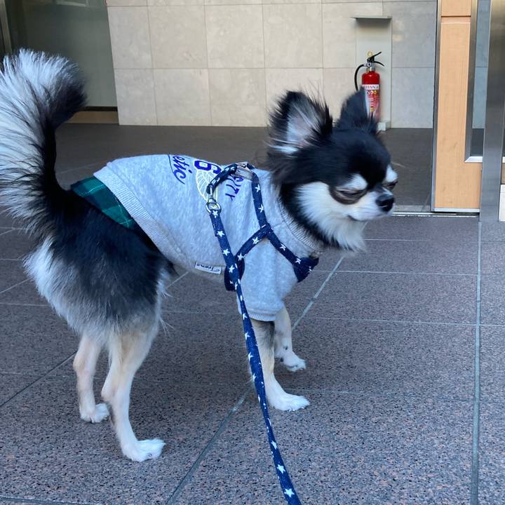 E337a3e2 7b4c 430f b9d3 9bf6bffaa3fb 1640842308733