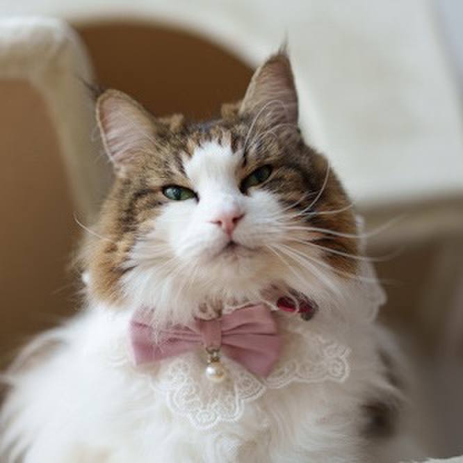 E337ab53 958f 4a3f b092 db50d8320eb9 1761977152137