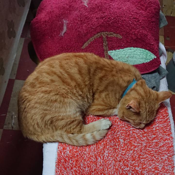 E337b47d 5743 46b3 8144 5aaced05d710 1555486165769