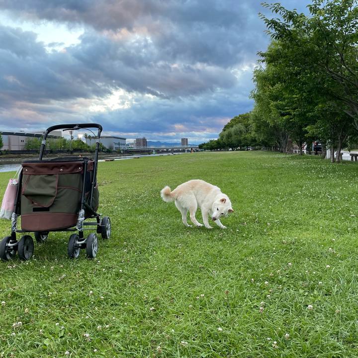 E337e7de e420 4a79 9c8a a0012604f414 1654533886734