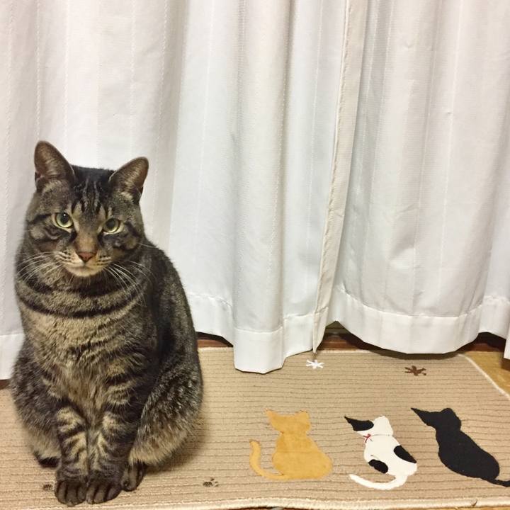 E337f1d0 7c6f 4772 b54f 3b59deb94831 1514465458551