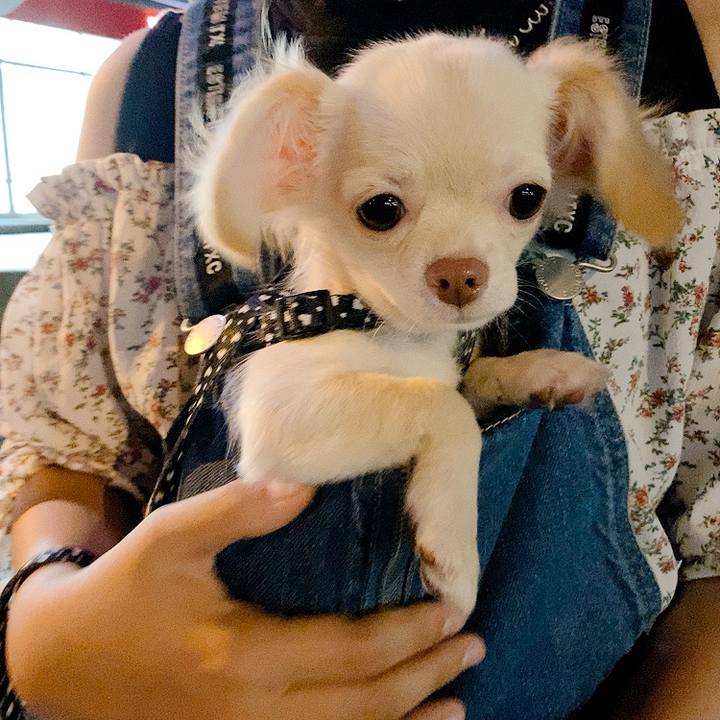 E33855ab 6a50 4b97 bd04 1061e21035d3 1592659657430