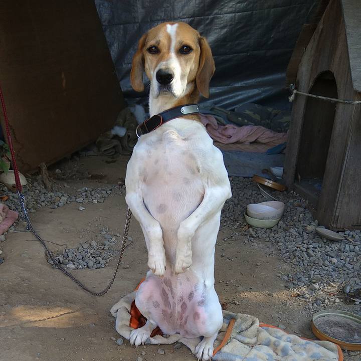 E3386e54 4ef6 4406 8e36 ed69cb8d3427 1634887929893