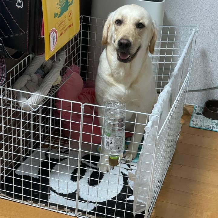 E3389b56 4509 4ec4 ab6d bb5d10c67a77 1664293948147