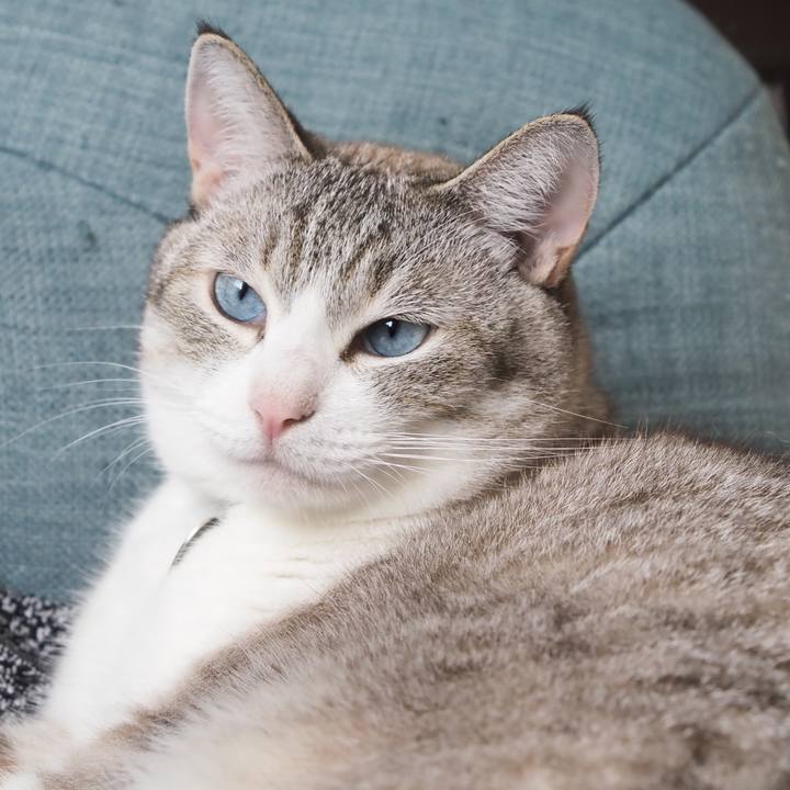 E3389d6a d660 44b2 9615 ad210e041a4f 1597634745897