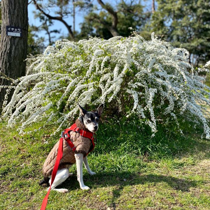 E3389dc5 9c07 411a ba6f 412fb5556995 1615689752479