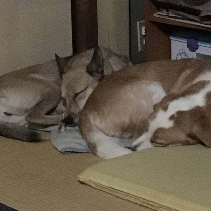 E338c2a0 8e03 4347 aebf 6a9ea198b670 1510319668413