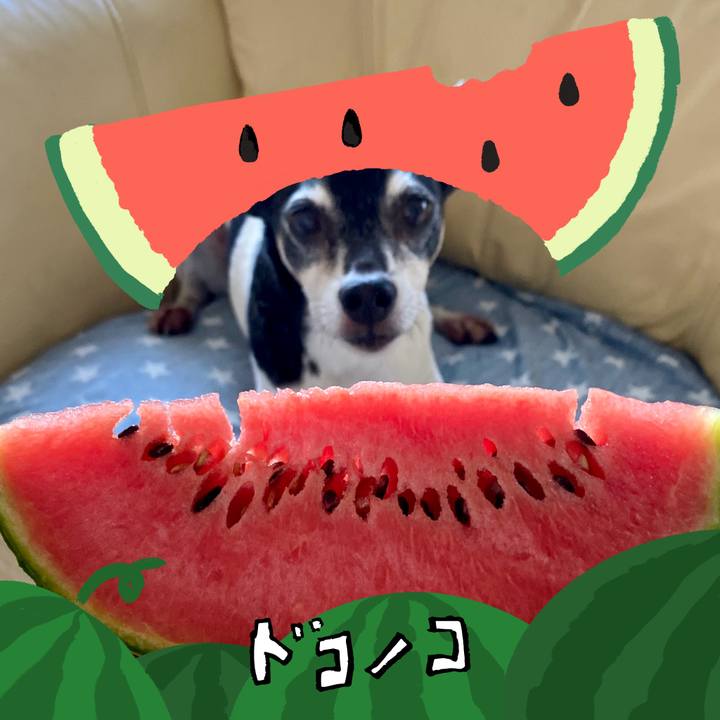 E33923ed 3e7e 44a7 b905 6803de3d219d 1720784113039