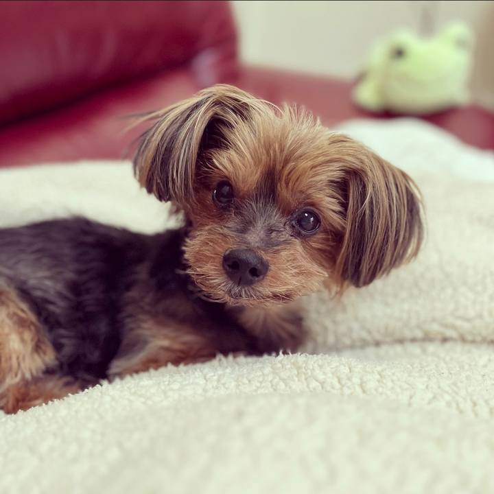 E33931fe 4b32 4166 95c1 02c5630d56cb 1672207959787