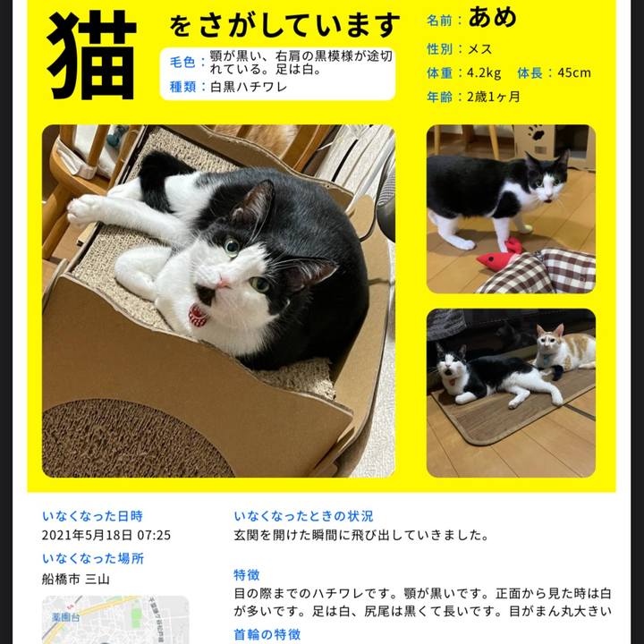 E339529e cf4a 4de7 abfc 9f18a9b627ba 1625969552895