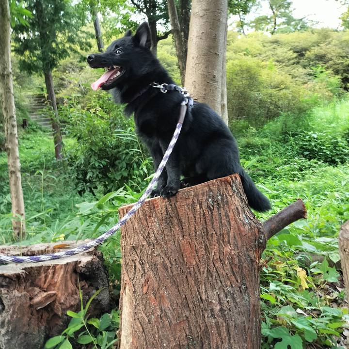 E3395454 c326 4ef7 bd71 2791e70a1209 1754603765819