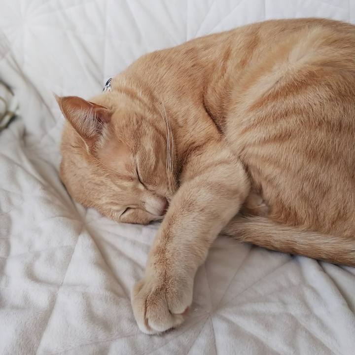 E339a51d df2e 436b a197 5ff6ec015340 1571015648824