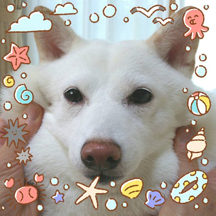 E339af5c e6ec 45ff 985b 7013a70fe444 1566175862767