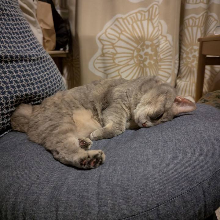 E339b2e9 4c39 4cc2 8d59 9ca569dd0d76 1760677301252