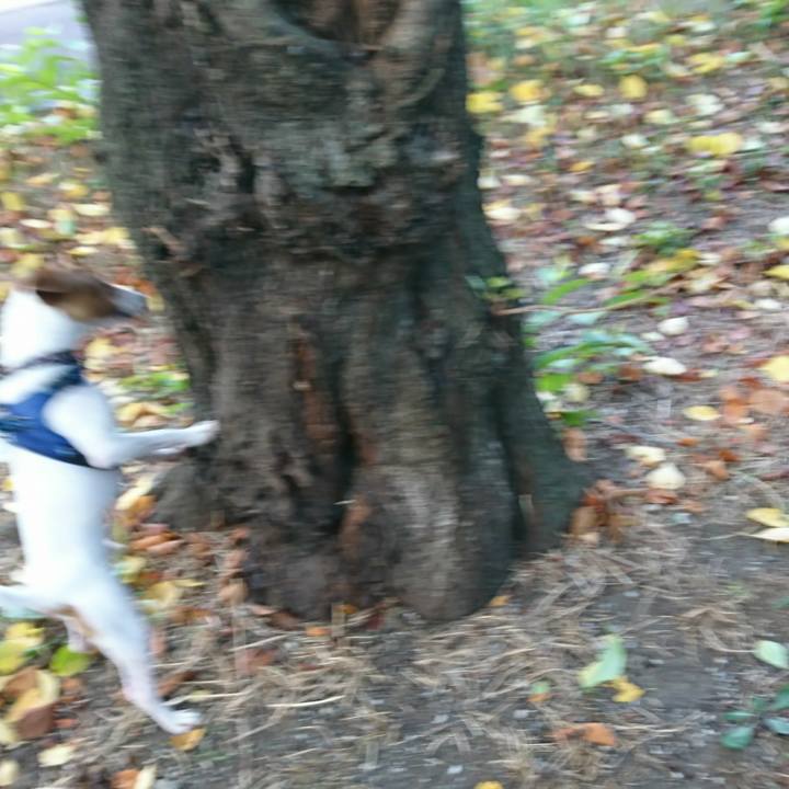 E339b433 8a0c 4ed9 b7fe 41e5bbc8caa6 1533679168249