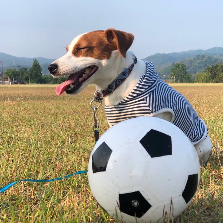 E339cfea 14b5 4367 a25d cd0f96639d2b 1559802165332