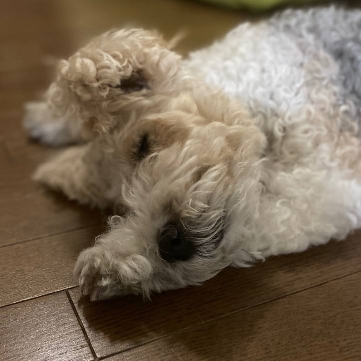 E33a0b31 cf57 4545 a491 49218e1333f1 1596610751357