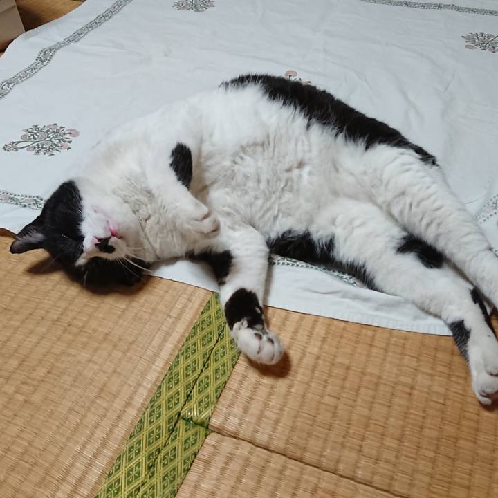 E33a59f4 6326 473d 8d5e ca1092bf5690 1624010471384