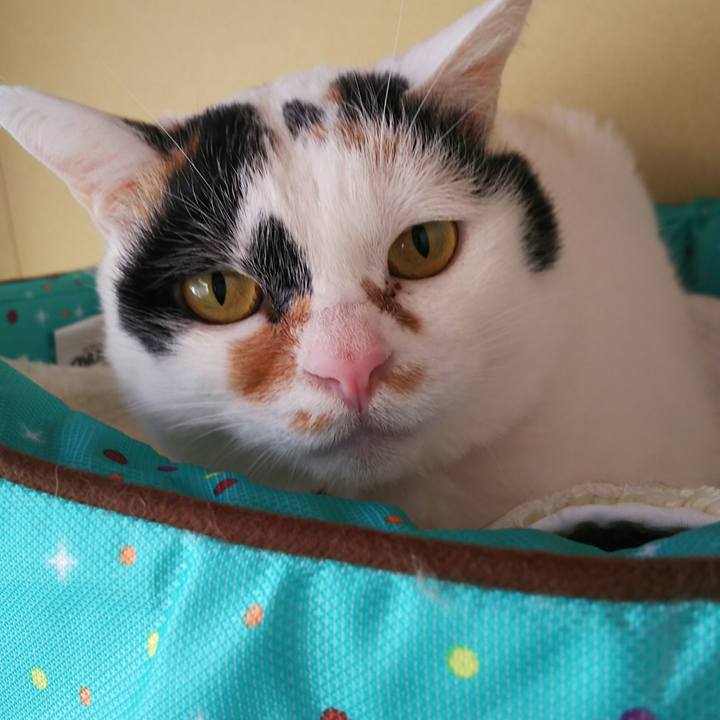 E33a762c 8cf8 4327 bd1c 1e2ec93e58cd 1546494800086