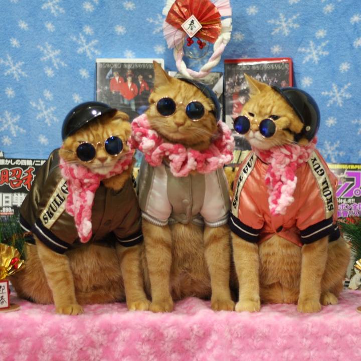 E33a7e91 63f3 4aed 8ecd 4e7d431ae452 1609474228056