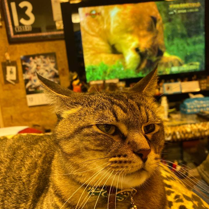 E33ac6e1 954b 4950 98e1 7d6516986717 1575197167240