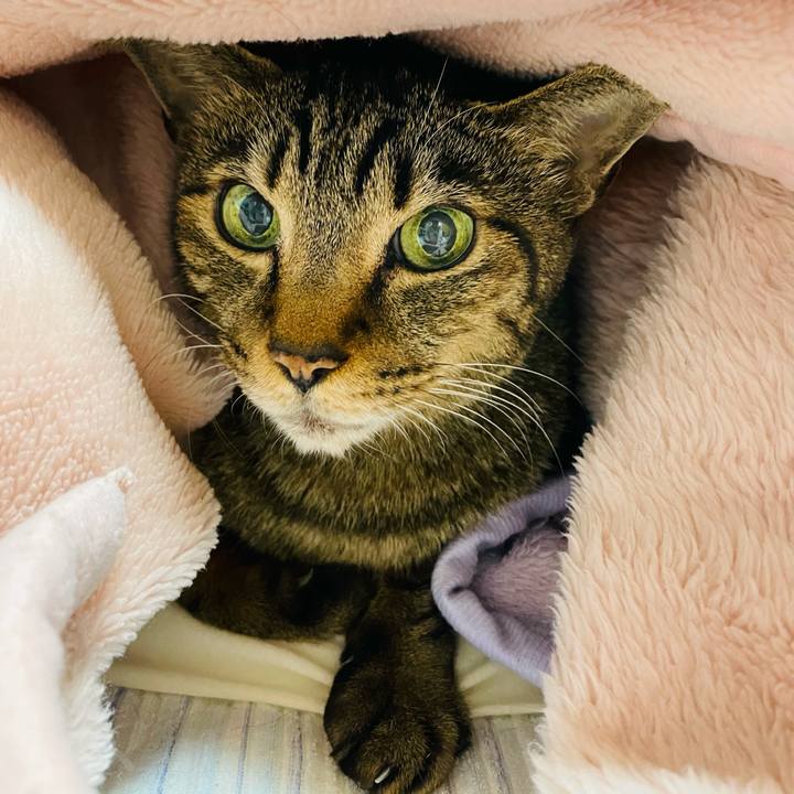 E33afaec 7365 40d0 89fa 0d14e95762b9 1606183214393