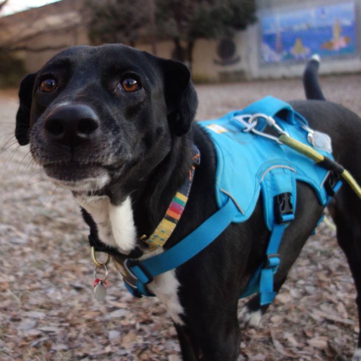 E33b1027 c6f3 4e97 95d0 edf77217a19a 1610586182620