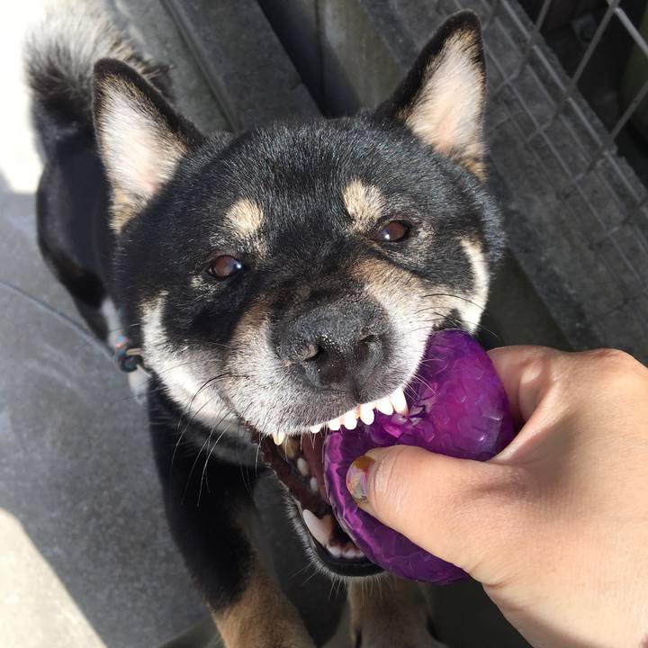 E33b15b5 402a 4a7c bcb5 d17d8e14dbff 1557033649935