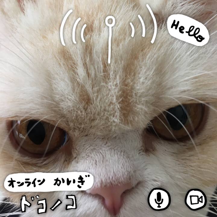 E33b4d48 d2cd 4e8a a3f4 bd8e05e494d8 1591418280140