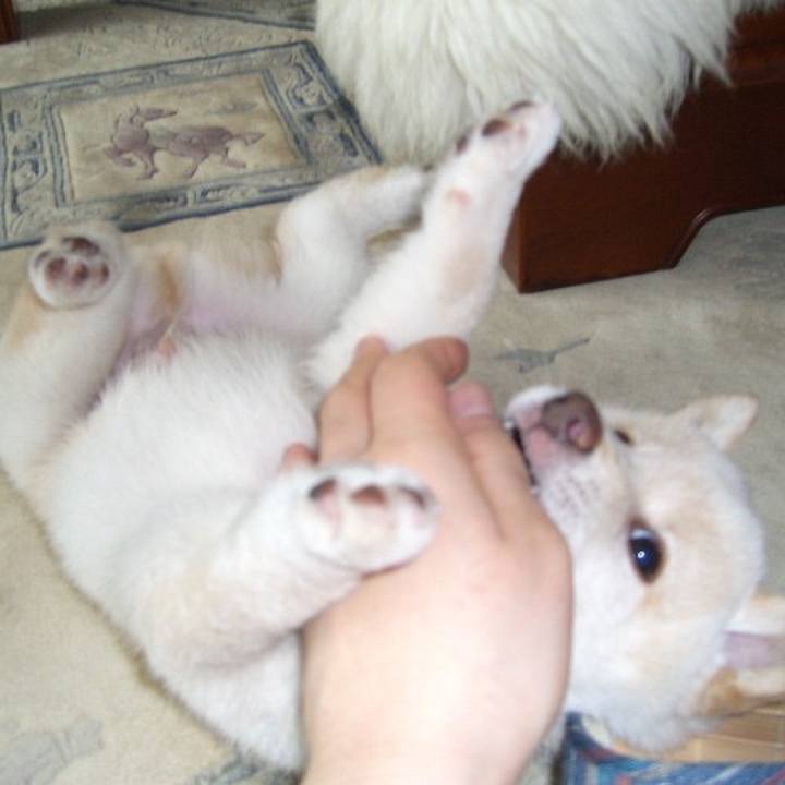 E33b6546 d70a 4e39 8bfb b78fba7eb62d 1637590119343