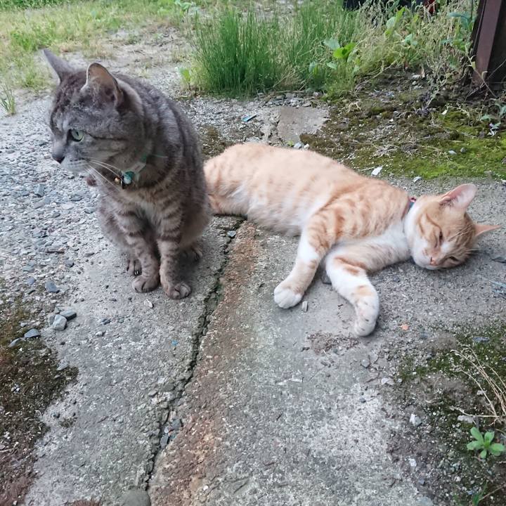 E33b7b9b 1502 4532 b78c e4ef05c08f5c 1561111362924