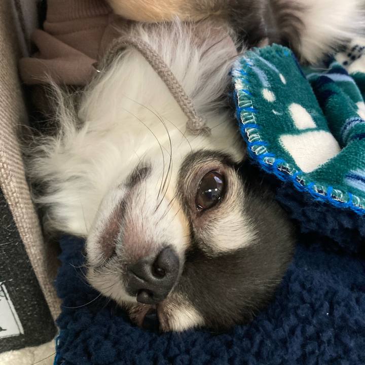 E33b853a ad0a 49af aa45 e1f0373298bf 1679153574999