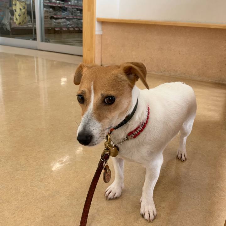 E33b86c9 11ce 499d bf35 038833eecc68 1562369458641