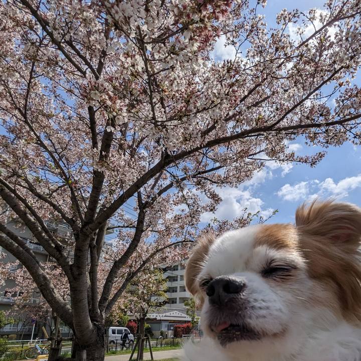 E33bda27 6994 4474 92a4 06abe70ca555 1773726709997